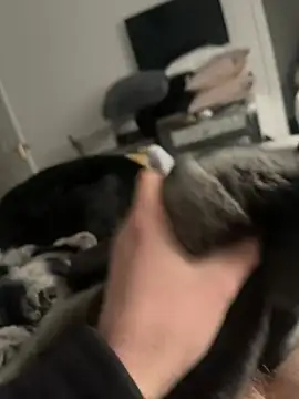 Snapshot of Furdale chatting on February 2025 02:32:02 PM Furdale online show from February 2025 02:32:02 PM