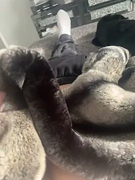 Snapshot of Furdale chatting on February 2025 01:24:01 PM Furdale online show from February 2025 01:24:01 PM