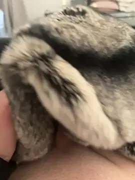 Snapshot of Furdale chatting on February 2025 04:26:01 PM Furdale online show from February 2025 04:26:01 PM