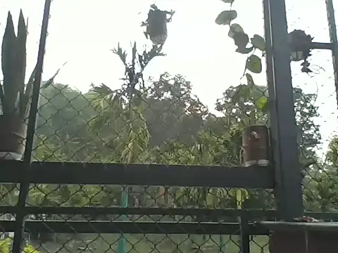 Indiaguy4u online show from March 2026 02:15:02 AM