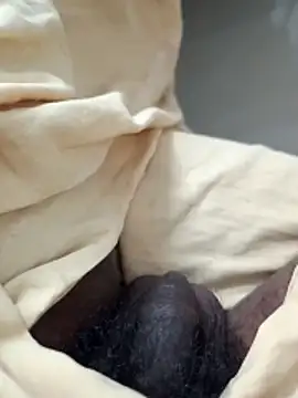 malluflash online show from April 2026 02:24:01 PM