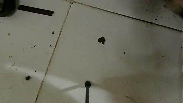 chino roz online show from February 2025 03:38:02 PM