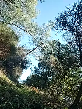 Poyraz6996 online show from November 2025 11:53:01 AM