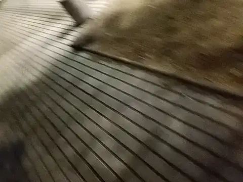 rodovlaz online show from February 2025 12:32:01 AM