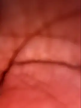 Samia Queen online show from October 2025 02:37:01 PM