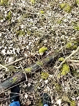 Boring one online show from March 2025 01:50:02 PM