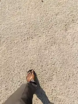 rajlocal online show from December 2024 09:25:02 AM