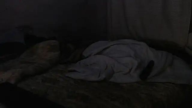 Snapshot of devine_TATAS chatting on September 2025 07:26:01 PM devine TATAS online show from September 2025 07:26:01 PM