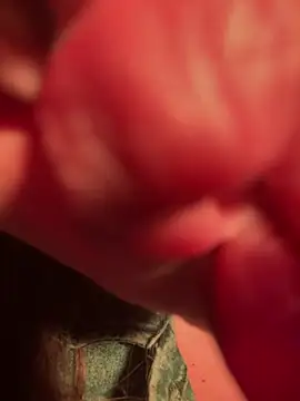 Im sophiie online show from February 2025 05:58:02 AM