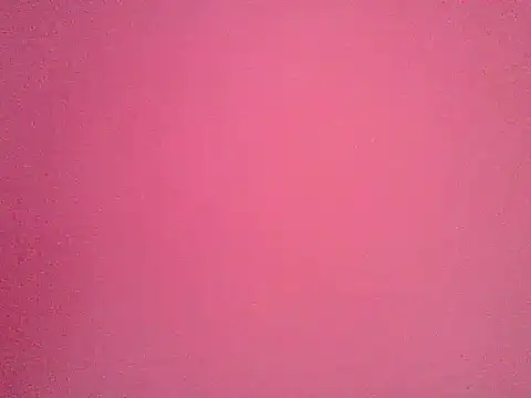 Snapshot of kavipanty chatting on January 2026 12:09:02 PM kavipanty online show from January 2026 12:09:02 PM