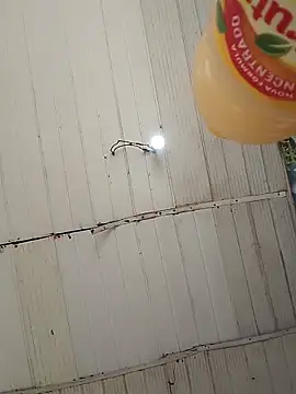 Snapshot of Kanekki2 chatting on March 2026 12:49:02 PM Kanekki2 online show from March 2026 12:49:02 PM