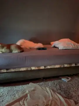 Snapshot of Bastet chatting on January 2025 07:34:01 PM Bastet online show from January 2025 07:34:01 PM