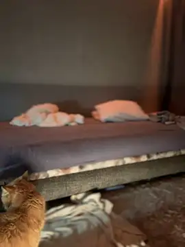 Snapshot of Bastet chatting on January 2025 07:31:01 PM Bastet online show from January 2025 07:31:01 PM