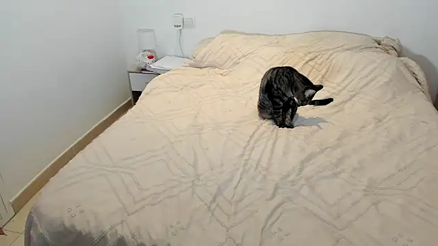 MariaMeir online show from January 2026 10:25:02 PM