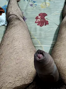 Snapshot of vishnuvinod_india chatting on November 2025 02:13:01 PM vishnuvinod india online show from November 2025 02:13:01 PM