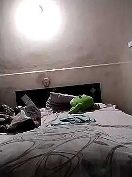 starplss online show from November 2025 03:07:01 AM