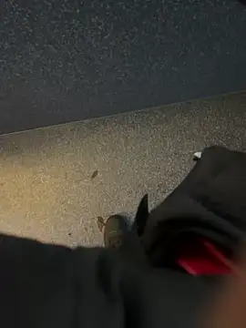 angelitasexy81 online show from December 2025 03:49:02 PM