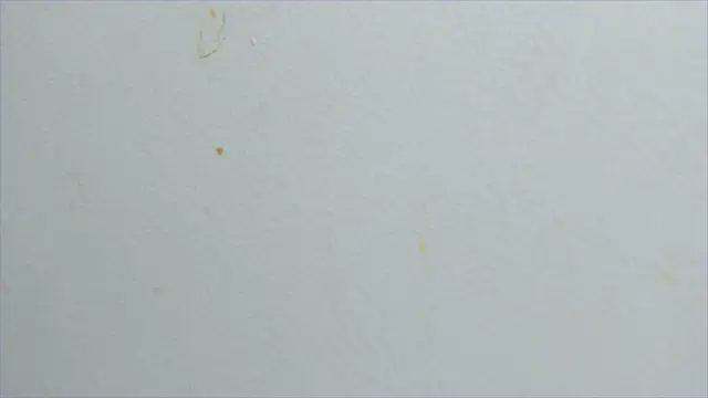 lisa2018 online show from February 2025 11:10:02 PM