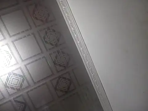 PlanetalMilk online show from April 2026 02:03:02 AM