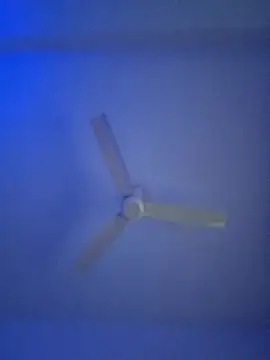 Snapshot of monabhabi22 chatting on February 2025 11:32:02 AM monabhabi22 online show from February 2025 11:32:02 AM