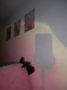 DulceLenns online show from January 2026 06:46:01 PM