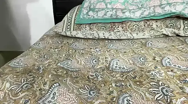 Snapshot of Greekartsguru chatting on December 2024 11:29:01 AM Greekartsguru online show from December 2024 11:29:01 AM