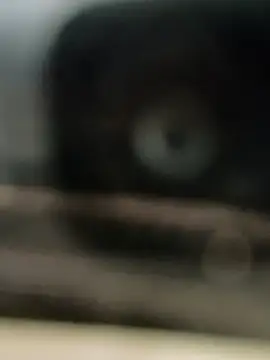 Snapshot of hornydick4you chatting on March 2025 10:56:02 AM hornydick4you online show from March 2025 10:56:02 AM