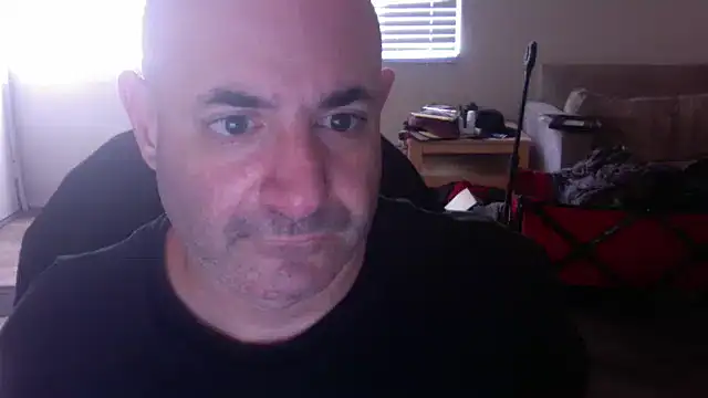 palidin1 online show from November 2025 09:36:02 PM