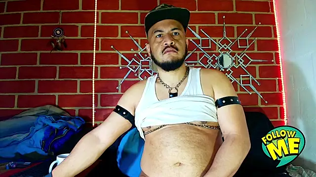 the master foal  online show from September 2025 02:33:01 PM