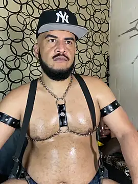 the master foal  online show from March 2026 07:47:01 AM