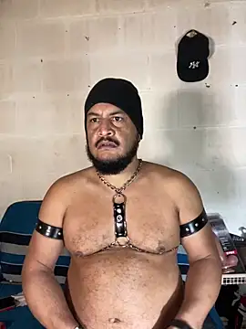 the master foal  online show from May 2026 07:38:02 AM