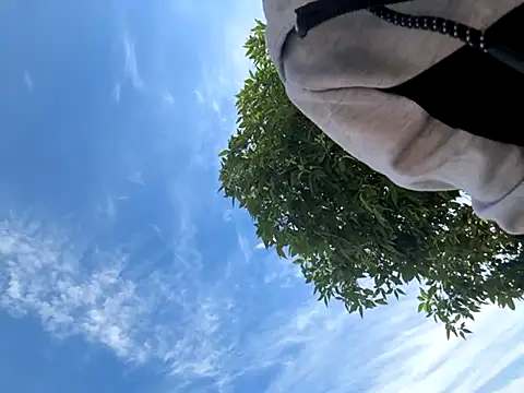 Snapshot of kingdennis6666 chatting on September 2025 07:26:02 PM kingdennis6666 online show from September 2025 07:26:02 PM