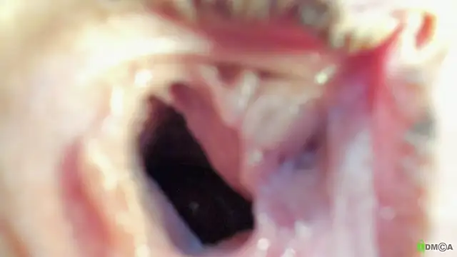 Snapshot of Courtney_Luv chatting on September 2025 02:51:01 PM Courtney Luv online show from September 2025 02:51:01 PM