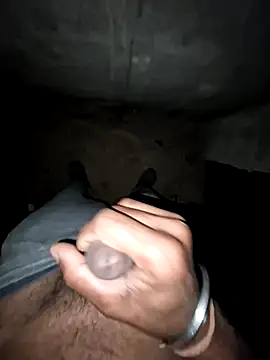 Snapshot of breejs chatting on December 2025 02:21:01 PM breejs online show from December 2025 02:21:01 PM