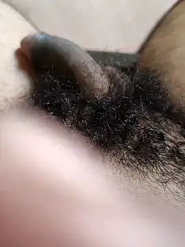 Honestguy100 online show from November 2025 05:29:02 AM