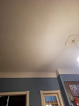 Snapshot of chosen923 chatting on February 2025 11:45:02 AM chosen923 online show from February 2025 11:45:02 AM