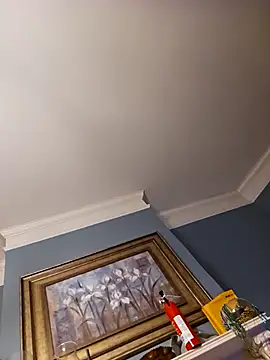 Snapshot of chosen923 chatting on February 2025 02:39:02 AM chosen923 online show from February 2025 02:39:02 AM