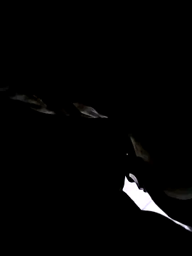 74bob online show from September 2025 04:25:02 AM