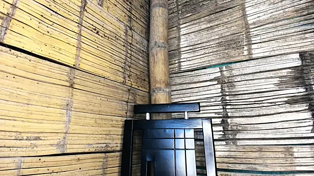 NatashaaBerry online show from March 2026 04:55:01 PM