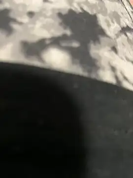 katcclovea online show from February 2025 05:17:02 PM