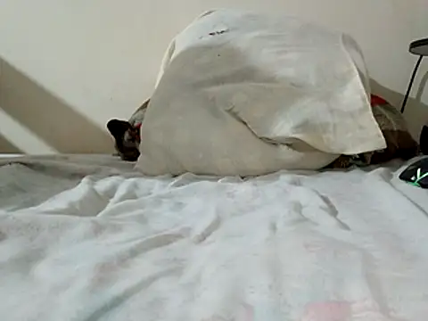 Snapshot of JamesQuaresma chatting on February 2026 03:39:02 PM JamesQuaresma online show from February 2026 03:39:02 PM