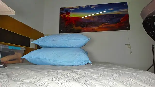 Snapshot of _ebony-queen_ chatting on February 2025 11:58:01 AM ebony-queen online show from February 2025 11:58:01 AM