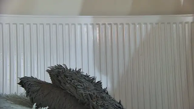 Snapshot of curvyana69 chatting on January 2026 05:27:02 PM curvyana69 online show from January 2026 05:27:02 PM