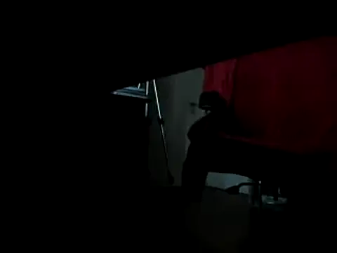 Snapshot of leccaleccafiga chatting on February 2025 09:36:01 PM leccaleccafiga online show from February 2025 09:36:01 PM