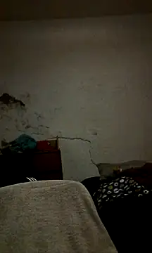 landy20cm online show from December 2024 08:20:01 AM