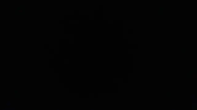 harry reems1 online show from January 2025 06:45:02 PM