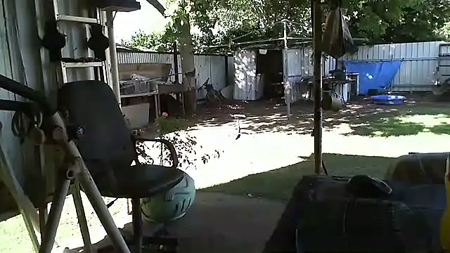 herbie010666 online show from December 2024 06:06:02 AM