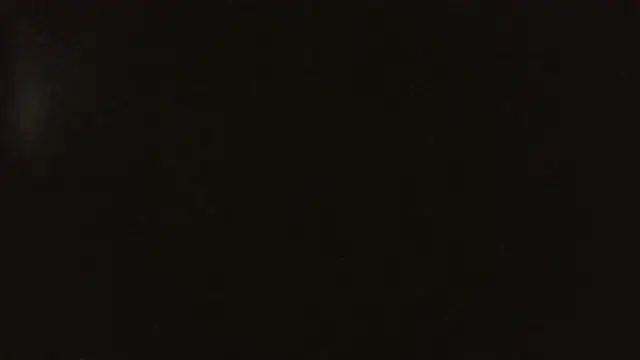 herbie010666 online show from February 2025 04:18:02 AM