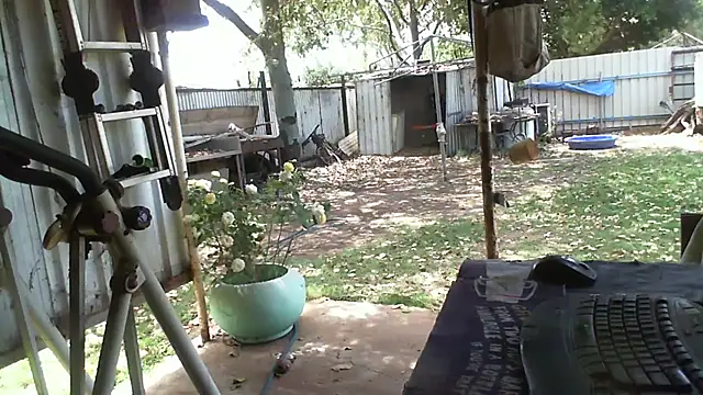 herbie010666 online show from October 2025 02:32:01 AM