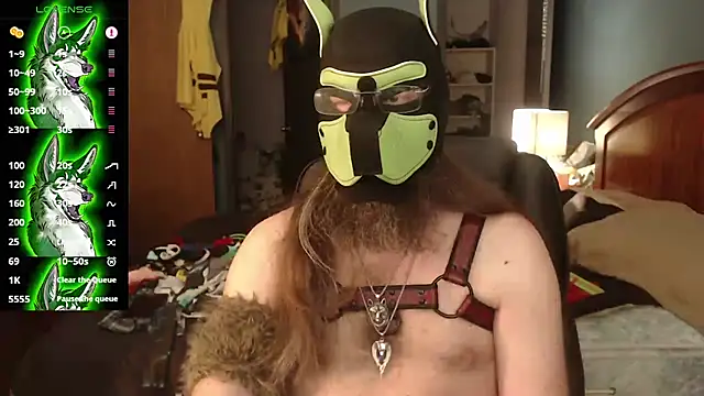 kinkywolf429 online show from July 2026 10:38:01 PM